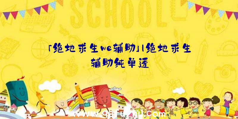「绝地求生we辅助」|绝地求生辅助纯单透